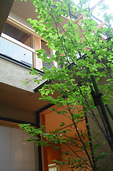 
Mr. Michimasa Kawaguchi's latest work.

Gentou
Structure : 2 stories of wooden{Penthouse

yA short evaluationz
This house is wonderful.
One construction as a wooden masterpiece was born again.
